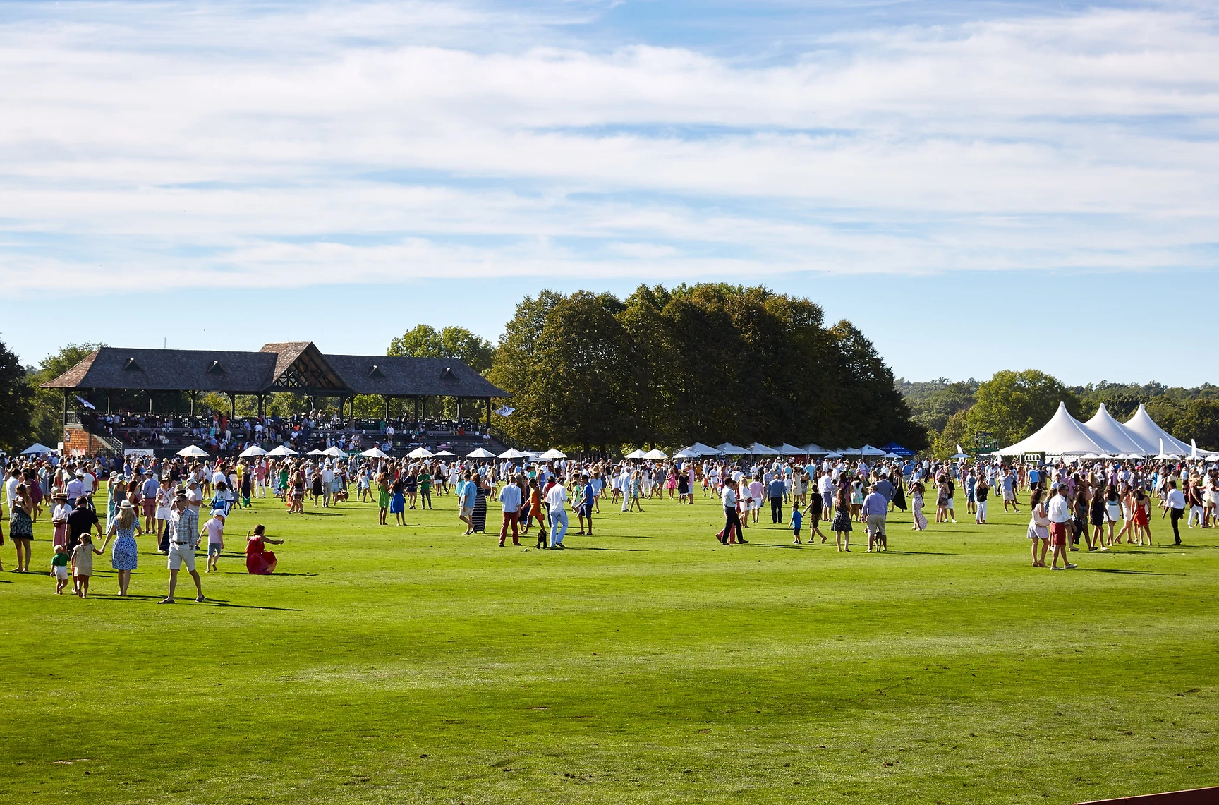 Greenwich Polo - Image 1