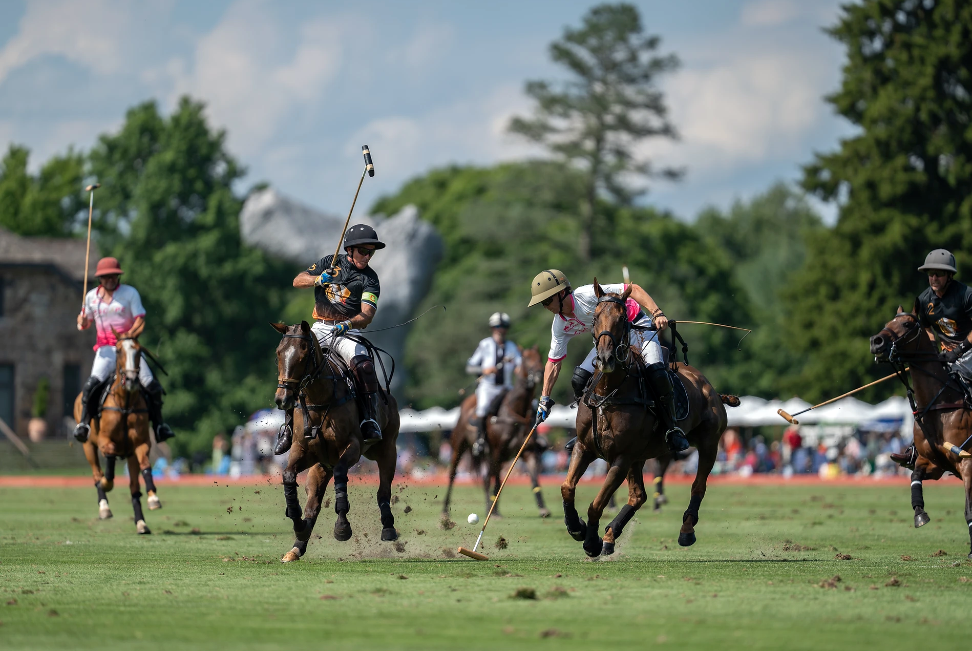 Greenwich Polo - Image 2