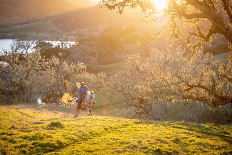 Alisal Ranch - Image 1